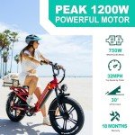 Freesky Rocky 750W Electric Bike 