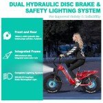 Freesky Rocky 750W Electric Bike 