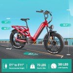 Freesky Rocky 750W Electric Bike 