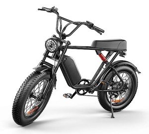 Apiwo Adult 1000w Electric Fat Tire Bike