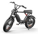 Apiwo Adult 1000w Electric Fat Tire Bike
