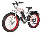 YinZhiBoo Fat Tire Electric Bike