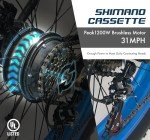 YinZhiBoo Fat Tire Electric Bike
