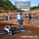 YinZhiBoo Fat Tire Electric Bike