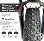YinZhiBoo Fat Tire Electric Bike