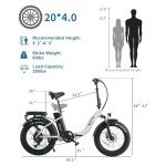 NARRAK 48V Fat Tire E-Bike (Step Thru-White)