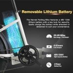 NARRAK 48V Fat Tire E-Bike (Step Thru-White)