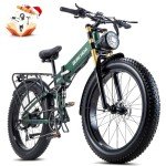 Burchoa 750W/1000W Foldable Electric Fat Tire Bike