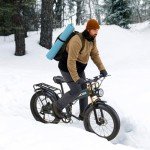 Burchoa 750W/1000W Foldable Electric Fat Tire Bike