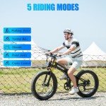 Burchoa 750W/1000W Foldable Electric Fat Tire Bike