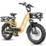 Fucare Electric Bike 750W Cruiser