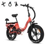 Rattan 750W Foldable Fat Tire Electric Bike