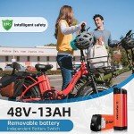 Rattan 750W Foldable Fat Tire Electric Bike