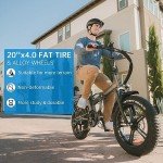 Rattan 750W Foldable Fat Tire Electric Bike