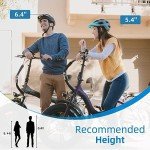 Rattan 750W Foldable Fat Tire Electric Bike