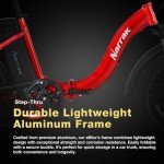 Narrak 750W Fat Tire Folding E-Bike