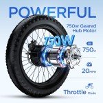 Totem Hauler E-Bike