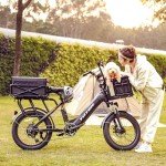 Totem Hauler E-Bike