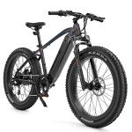 Velowave Star Black Ranger E-Bike 