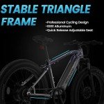 Velowave Star Black Ranger E-Bike 
