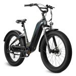 VELOWAVE Star Black Grace Electric Bike