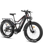FreeSky Swift Horse 1000W Fat Tire Electric Bike