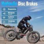 FreeSky Swift Horse 1000W Fat Tire Electric Bike