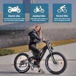 FreeSky Swift Horse 1000W Fat Tire Electric Bike