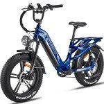 Freesky Rocky 750W Electric Bike 