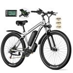 EBycco 750W Electric Mountain Bike 