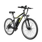 Heybike Race Max Electric Mountain Bike