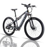 BaFang 750W Full Suspension Electric Mountain Bike 