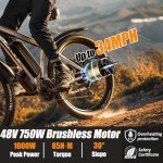 EBycco 750W Electric Mountain Bike 