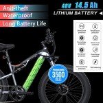 BaFang 750W Full Suspension Electric Mountain Bike 