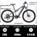 BaFang 750W Full Suspension Electric Mountain Bike 