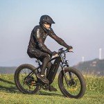 DYU King 750W Electric Mountain Bike - 80 Mile Range