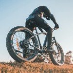 DYU King 750W Electric Mountain Bike - 80 Mile Range