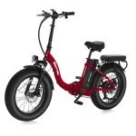Narrak 750W Fat Tire Folding E-Bike