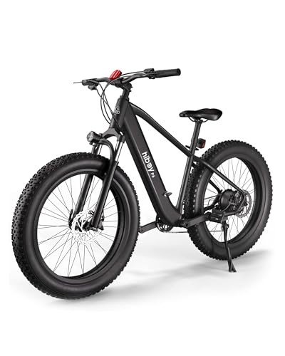 Electric Fat Tire Bikes