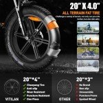 VITILAN V3 Folding Fat Tire E-bike
