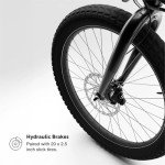 LECTRIC XP Lite 2.0 Folding Electric Bike