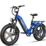 FREESKY Rocky Pro Electric Bike 