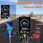 FREESKY Wild Cat Pro Long Range Electric Bike