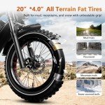EUY S4 Long Range Electric Bike