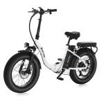 NARRAK Fat Tire Step-Thru E-Bike - White