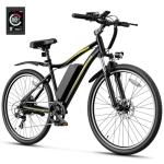 Heybike Race Max Electric Mountain Bike