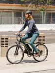 Heybike Race Max Electric Mountain Bike