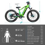 MAGICYCLE Deer SUV Full Suspension Electric Bike
