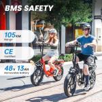 Rattan 750W Foldable Fat Tire Electric Bike