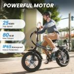 Rattan 750W Foldable Fat Tire Electric Bike